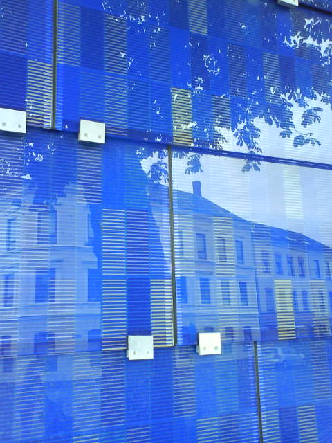 Phenofestivalblau