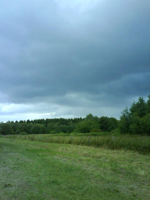 Schlichtung