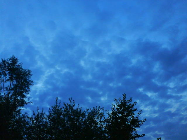 Anderes Lausch.