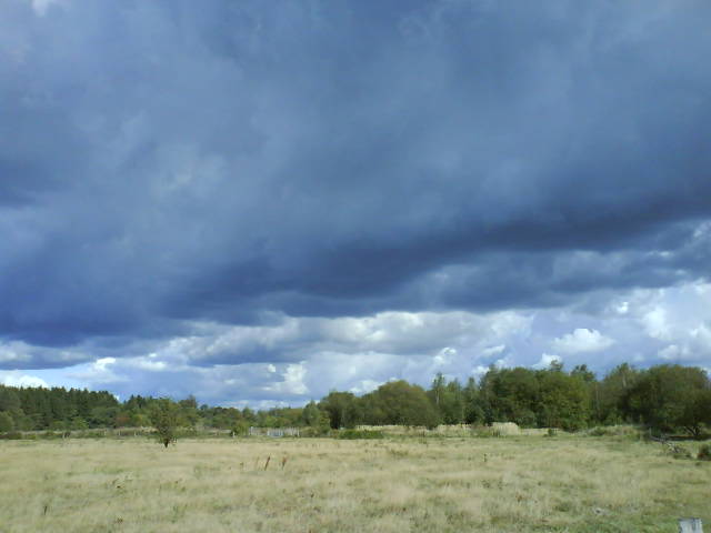 Windland.