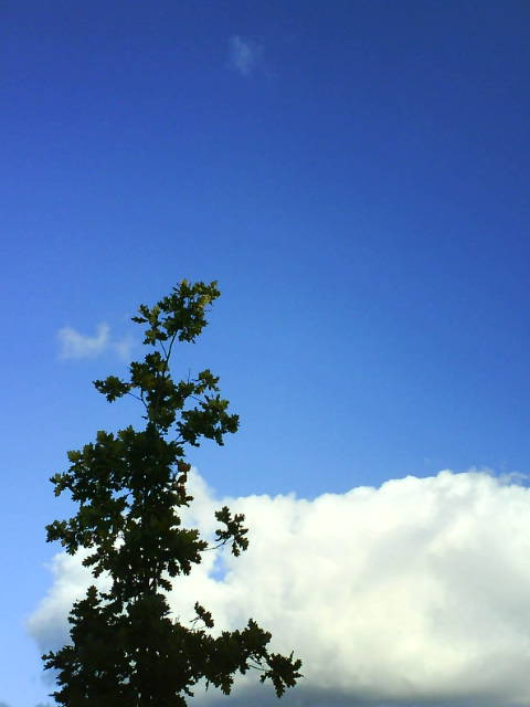 Alles ruhig. 2