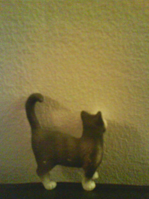 Kittischleicher.
