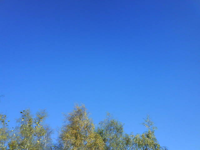 Spitzenherbst