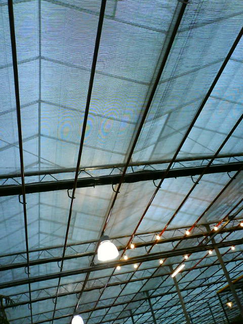 Baumhaus.