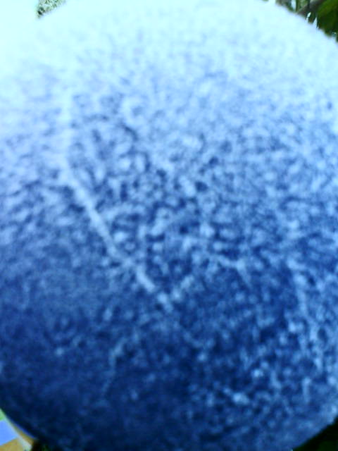 -5 kalt