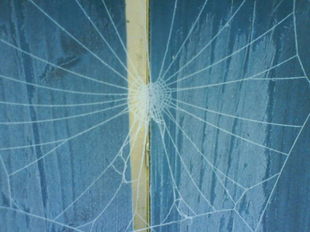 Farbiges Netz