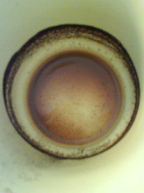 MitOhneMitMit