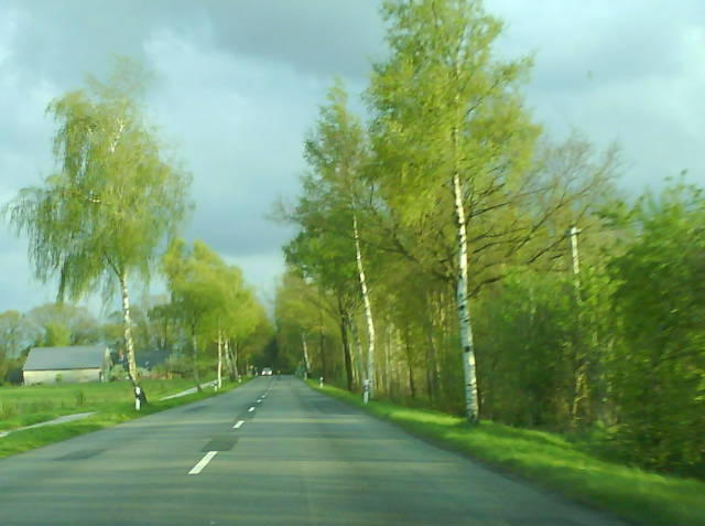 Licht ung