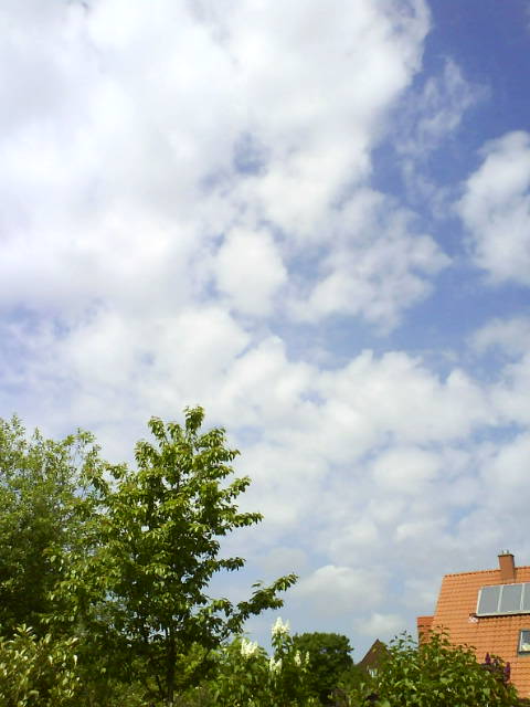Wind und Froschkonzert.