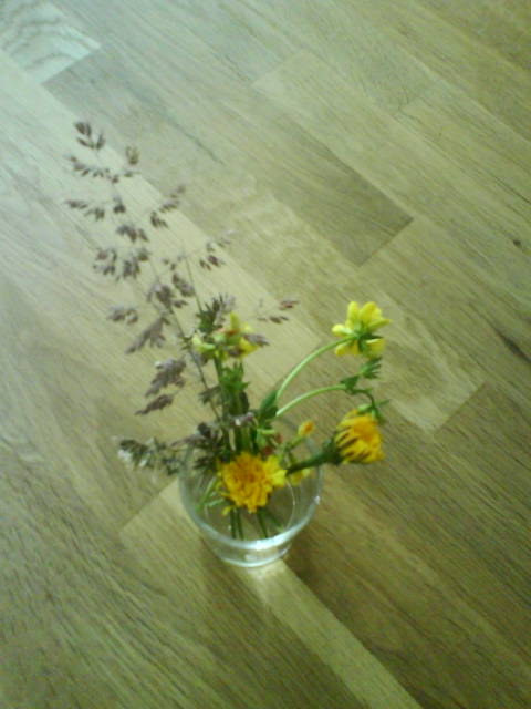 Wo ist die Pusteblume?
