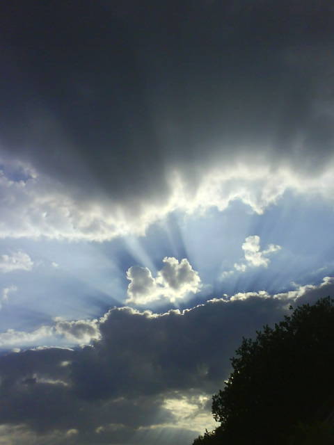 Gehe Fliegen