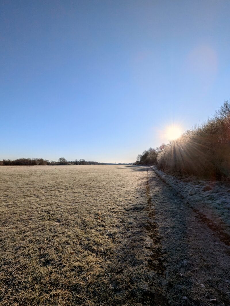 -5° – Laufen