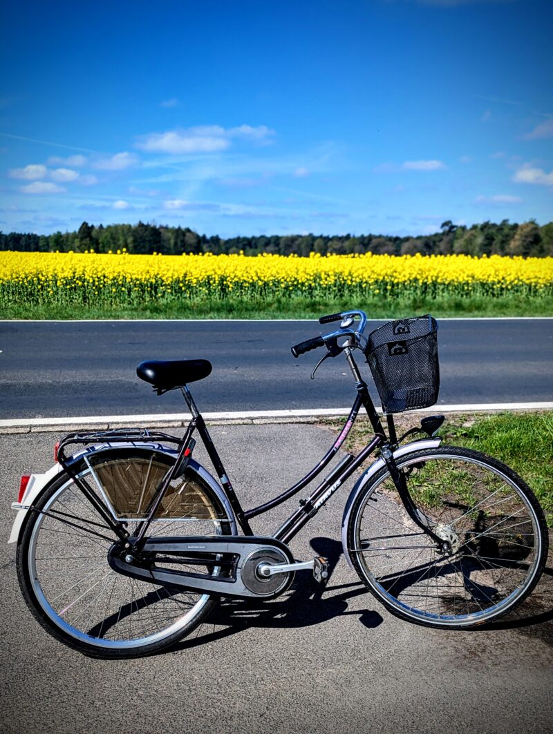 „…wenn ich frei hätte, würde ich ein Rapsfeld besuchen!“