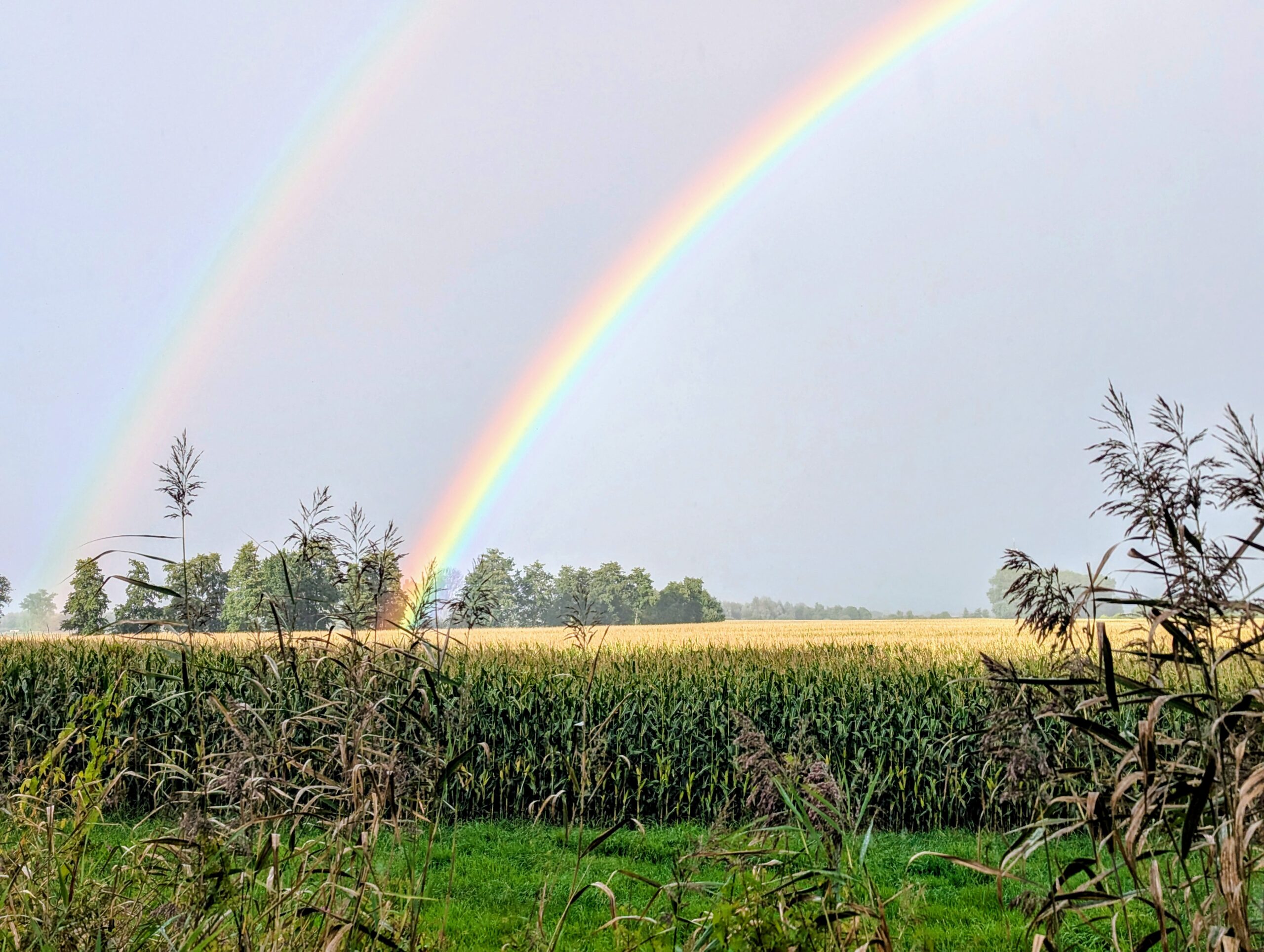 So nah war der Topf noch nie