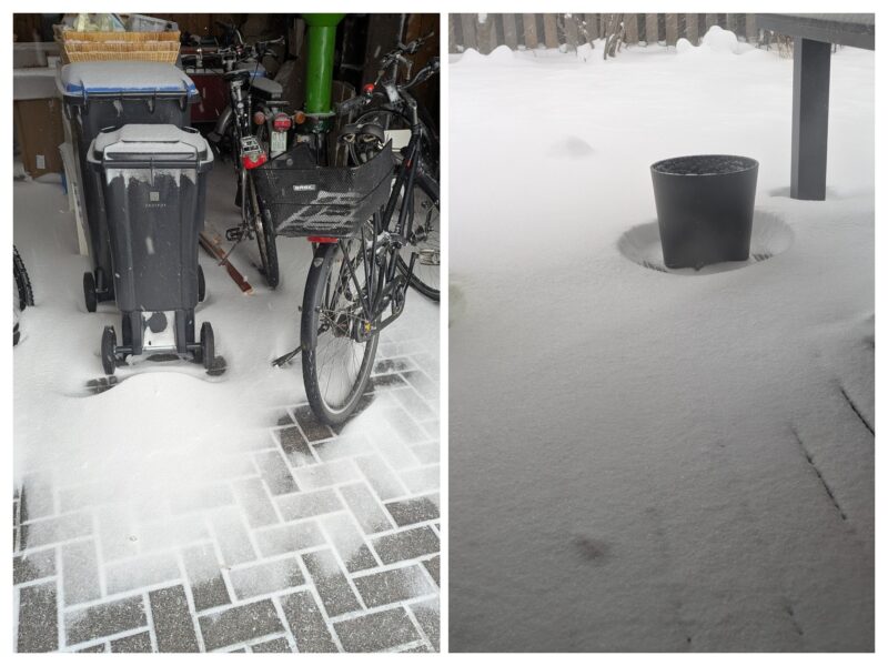 Überdacht und höchste Schneeverwehung im Garten