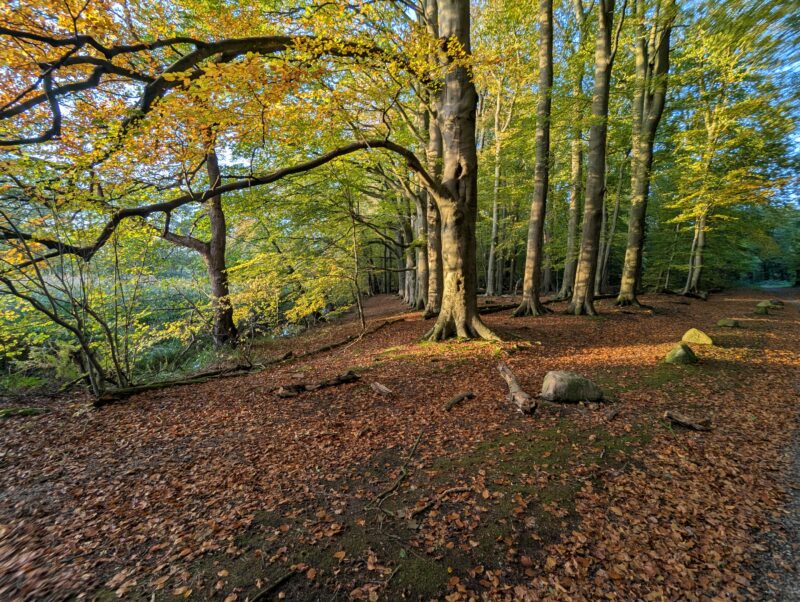 Herbst, einfach