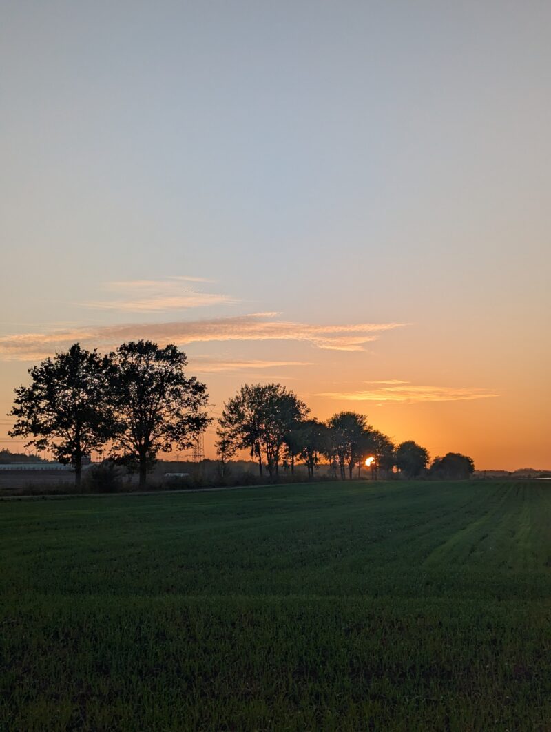 Herbst, einfach
